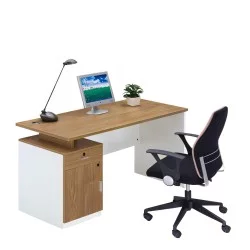 Γραφείο Επαγγελματικό  EVERLAST Λευκό/Φυσικό Μοριοσανίδα 120x60x75cm