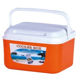 Φορητό Ψυγείο Ισοθερμικό  FROSTX Πορτοκαλί 27x20.5x19.5cm