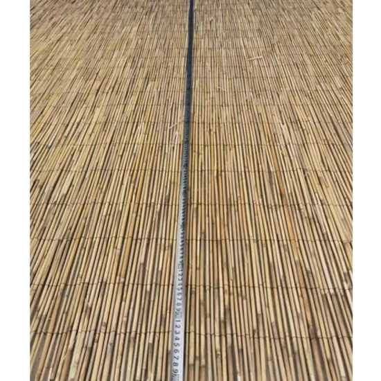 Καλαμωτή  ELNICK Με Ολόκληρο Καλάμι 2x3m