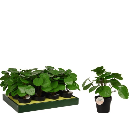 Φυτό Τεχνητό  Pilea 25cm Μαύρο Σε Μαύρο Γλαστράκι 98x85mm