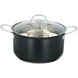 Κατσαρόλα με Καπάκι 5.5L ALPINA