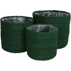 Καλάθι  Πράσινο Seagrass 20x20x18cm Σετ 3Τμχ Καλάθι  Πράσινο Seagrass 20x20x18cm Σετ 3Τμχ