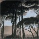 Μαξιλάρι Δάσος Καφέ Βελούδο 45x45cm Μαξιλάρι Δάσος Καφέ Βελούδο 45x45cm