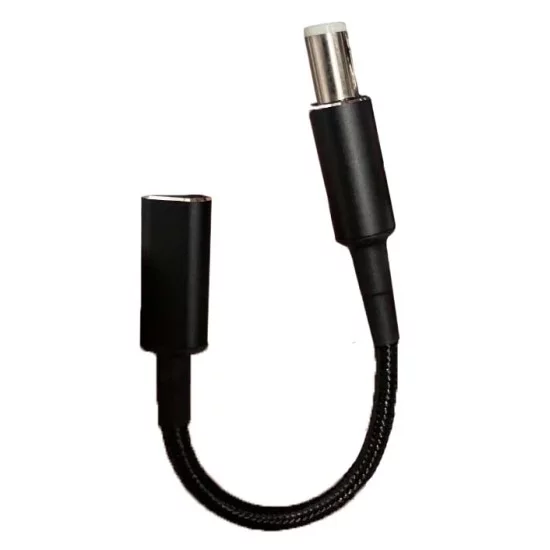 Μετατροπέας 7.4*0.6 Dell 5A 100W Max Type C Θηλυκό