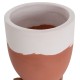 ΓΛΑΣΤΡΕΣ ΣΕΤ 2ΤΜΧ SEON HM4686.08 TERRACOTTA ΣΕ ΛΕΥΚΟ & ΤΕΡΑΚΟΤΑ--TEAK ΒΑΣΗ