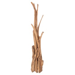 ΚΑΛΟΓΕΡΟΣ HM9367 ΑΠΟ ΜΑΣΙΦ ΞΥΛΟ TEAK ΦΥΣΙΚΟ 36x30x183Υεκ.