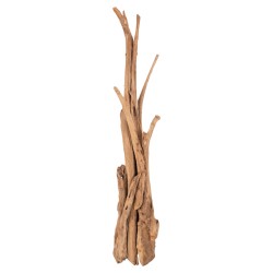 ΚΑΛΟΓΕΡΟΣ HM9367 ΑΠΟ ΜΑΣΙΦ ΞΥΛΟ TEAK ΦΥΣΙΚΟ 36x30x183Υεκ. ΚΑΛΟΓΕΡΟΣ HM9367 ΑΠΟ ΜΑΣΙΦ ΞΥΛΟ TEAK ΦΥΣΙΚΟ 36x30x183Υεκ.