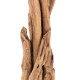 ΚΑΛΟΓΕΡΟΣ HM9367 ΑΠΟ ΜΑΣΙΦ ΞΥΛΟ TEAK ΦΥΣΙΚΟ 36x30x183Υεκ.