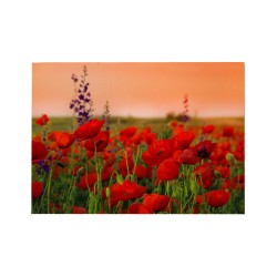 ΠΙΝΑΚΑΣ TOIXOY ΣΕΙΡΑ GOBI HM4760 ΕΚΤΥΠΩΜΕΝΟΣ ΚΑΜΒΑΣ 70x3(πάχος)x50Υεκ.