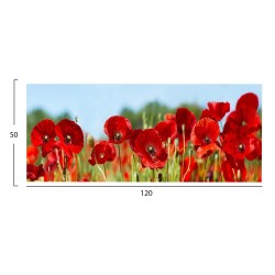 ΠΙΝΑΚΑΣ TOIXOY ΣΕΙΡΑ GOBI HM4786 ΕΚΤΥΠΩΜΕΝΟΣ ΚΑΜΒΑΣ 120x3(πάχος)x50Υεκ.