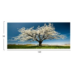 ΠΙΝΑΚΑΣ TOIXOY ΣΕΙΡΑ GOBI HM4792 ΕΚΤΥΠΩΜΕΝΟΣ ΚΑΜΒΑΣ 120x3(πάχος)x50Υεκ.