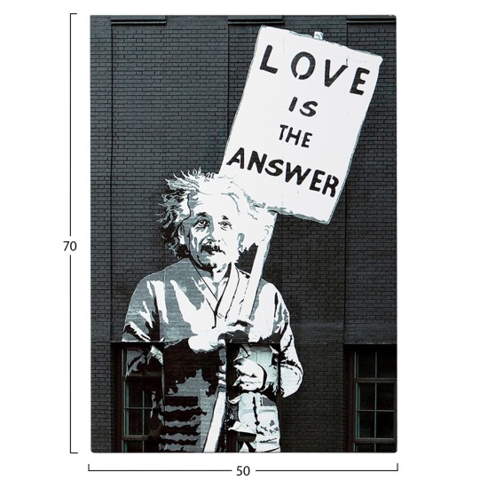 ΠΙΝΑΚΑΣ TOIXOY ΣΕΙΡΑ GOBI HM4818 ΕΚΤΥΠΩΜΕΝΟΣ ΚΑΜΒΑΣ 50x3(πάχος)x70Yεκ.