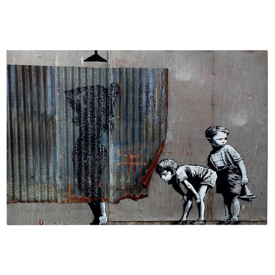 ΠΙΝΑΚΑΣ TOIXOY ΣΕΙΡΑ GOBI HM4821 ΕΚΤΥΠΩΜΕΝΟΣ ΚΑΜΒΑΣ 70x3(πάχος)x50Yεκ.