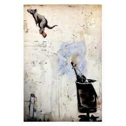 ΠΙΝΑΚΑΣ TOIXOY ΣΕΙΡΑ GOBI HM4826 ΕΚΤΥΠΩΜΕΝΟΣ ΚΑΜΒΑΣ 50x3(πάχος)x70Yεκ.