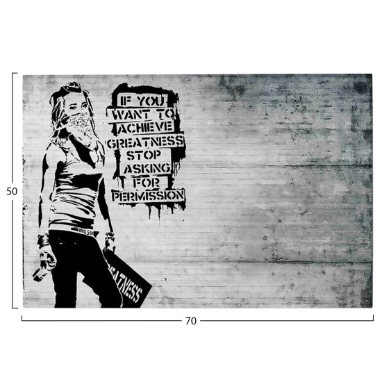 ΠΙΝΑΚΑΣ TOIXOY ΣΕΙΡΑ GOBI HM4831 ΕΚΤΥΠΩΜΕΝΟΣ ΚΑΜΒΑΣ 70x3(πάχος)x50Yεκ.