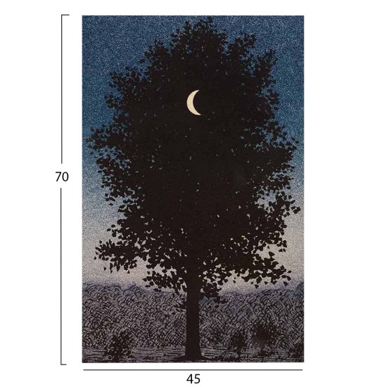 ΠΙΝΑΚΑΣ TOIXOY ΣΕΙΡΑ GOBI HM4850 ΕΚΤΥΠΩΜΕΝΟΣ ΚΑΜΒΑΣ 45x3(πάχος)x70Yεκ.