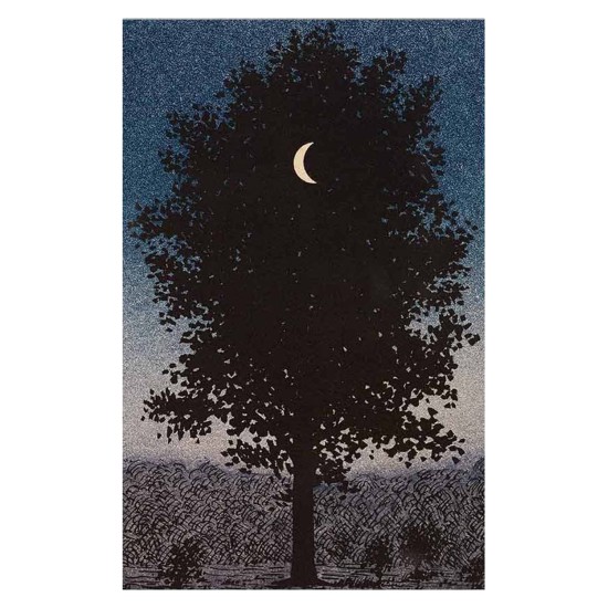 ΠΙΝΑΚΑΣ TOIXOY ΣΕΙΡΑ GOBI HM4850 ΕΚΤΥΠΩΜΕΝΟΣ ΚΑΜΒΑΣ 45x3(πάχος)x70Yεκ.