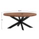 ΤΡΑΠΕΖΙ LEVINHO HM8483.11 OVAL 6εκ. ΠΑΧΟΣ ΑΠΟ ΜΑΣΙΦ ΞΥΛΟ MANGO 210x100x78Υ εκ. ΤΡΑΠΕΖΙ LEVINHO HM8483.11 OVAL 6εκ. ΠΑΧΟΣ ΑΠΟ ΜΑΣΙΦ ΞΥΛΟ MANGO 210x100x78Υ εκ.