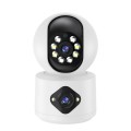 IP Cameras