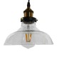 WICKHAM 01075 Vintage Κρεμαστό Φωτιστικό Οροφής με Ντουί 1 x E27 AC 220-240V IP20 - Διάφανο & Χρυσό - Μ24.5 x Π24.5 x Υ15cm