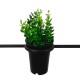 FLOWERPOT 10001209 Μοντέρνο Κρεμαστό Φωτιστικό Ανάρτηση Μονόφωτο 1 x E27 IP20 Μαύρο Μέταλλο με Πράσινο Πλαστικό - Μ34 x Π34 x Y34cm FLOWERPOT 10001209 Μοντέρνο Κρεμαστό Φωτιστικό Ανάρτηση Μονόφωτο 1 x E27 IP20 Μαύρο Μέταλλο με Πράσινο Πλαστικό - Μ34 x Π34 x Y34cm