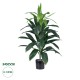 Artificial Garden DRACAENA SILK 20042 - Τεχνητό Διακοσμητικό Φυτό Δράκαινα Υ90cm