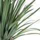 Artificial Garden BEAUCARNEA PALM TREE 20048 Τεχνητό Διακοσμητικό Φυτό Κυρτόφυλλος Μπουκαρνέα Υ250cm