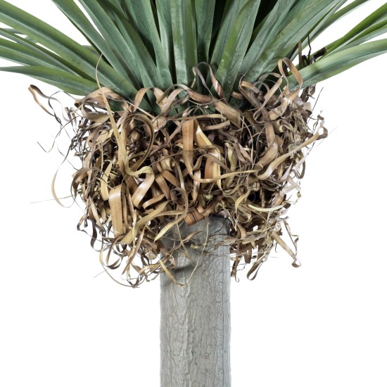 Artificial Garden BEAUCARNEA PALM TREE 20048 Τεχνητό Διακοσμητικό Φυτό Κυρτόφυλλος Μπουκαρνέα Υ250cm