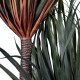 Artificial Garden PANDANUS TREE 20050 Τεχνητό Διακοσμητικό Φυτό Πάνδανος Υ210cm