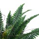 Artificial Garden FERN 20058 Τεχνητό Διακοσμητικό Φυτό Φτέρη Υ40cm