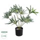 Artificial Garden BROADLEAF LADY PALM 20059 Τεχνητό Διακοσμητικό Φυτό Πλατύφυλλος Φοίνικας Μπαμπού Υ50cm