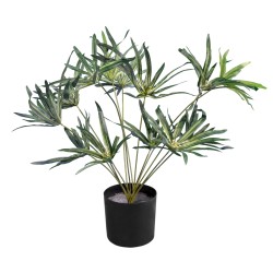 Artificial Garden BROADLEAF LADY PALM 20059 Τεχνητό Διακοσμητικό Φυτό Πλατύφυλλος Φοίνικας Μπαμπού Υ50cm