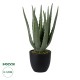 Artificial Garden ALOE 20064 Τεχνητό Διακοσμητικό Φυτό Αλόη Υ38cm