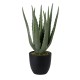 Artificial Garden ALOE 20064 Τεχνητό Διακοσμητικό Φυτό Αλόη Υ38cm