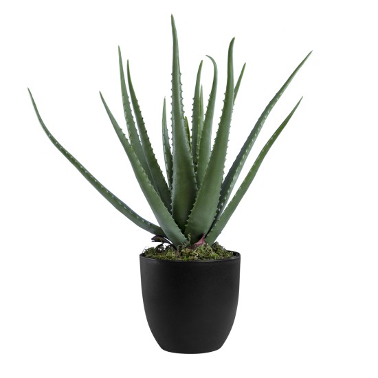 Artificial Garden ALOE 20065 Τεχνητό Διακοσμητικό Φυτό Αλόη Υ50cm