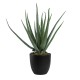 Artificial Garden ALOE 20065 Τεχνητό Διακοσμητικό Φυτό Αλόη Υ50cm