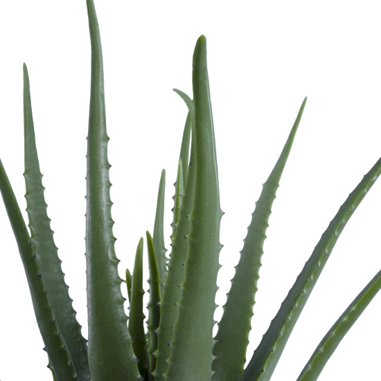 Artificial Garden ALOE 20065 Τεχνητό Διακοσμητικό Φυτό Αλόη Υ50cm