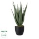 Artificial Garden ALOE 20066 Τεχνητό Διακοσμητικό Φυτό Αλόη Υ65cm