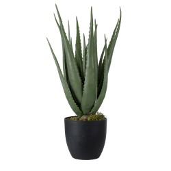 Artificial Garden ALOE 20066 Τεχνητό Διακοσμητικό Φυτό Αλόη Υ65cm