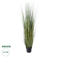 Artificial Garden PAMPAS GRASS 20072 Τεχνητό Διακοσμητικό Φυτό Γρασίδι της Πάμπας Υ170cm