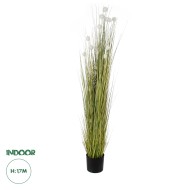 Artificial Garden ERIOPHORUM ANGUSTIFOLIUM COTTON GRASS 20074 Τεχνητό Διακοσμητικό Φυτό Γρασίδι του Βαμβακιού Υ170cm