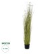 Artificial Garden ERIOPHORUM ANGUSTIFOLIUM COTTON GRASS 20074 Τεχνητό Διακοσμητικό Φυτό Γρασίδι του Βαμβακιού Υ170cm