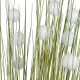 Artificial Garden ERIOPHORUM ANGUSTIFOLIUM COTTON GRASS 20074 Τεχνητό Διακοσμητικό Φυτό Γρασίδι του Βαμβακιού Υ170cm