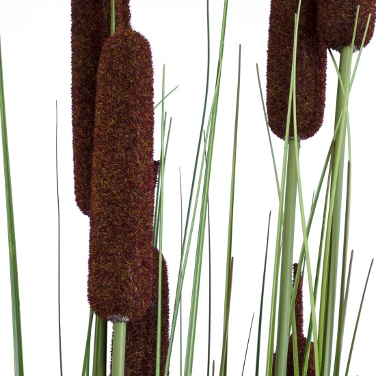 Artificial Garden TYPHA ANGUSTIFOLIA GRASS 20113 Τεχνητό Διακοσμητικό Φυτό Γρασίδι της Τύφας Υ150cm