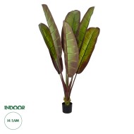 Artificial Garden BLOODY BANANA TREE 20117 - Τεχνητό Διακοσμητικό Φυτό Αιματόφυλλη Μπανανιά - Μπανανόδεντρο Υ160cm