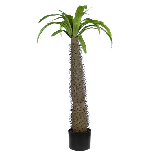 Artificial Garden PACHYPODIUM LAMEREI PALM TREE 20129 Τεχνητό Διακοσμητικό Φυτό Φοίνικας της Μαγαδασκάρης Υ105cm