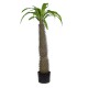 Artificial Garden PACHYPODIUM LAMEREI PALM TREE 20129 Τεχνητό Διακοσμητικό Φυτό Φοίνικας της Μαγαδασκάρης Υ105cm