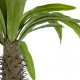 Artificial Garden PACHYPODIUM LAMEREI PALM TREE 20129 Τεχνητό Διακοσμητικό Φυτό Φοίνικας της Μαγαδασκάρης Υ105cm