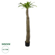 Artificial Garden PACHYPODIUM LAMEREI PALM TREE 20130 Τεχνητό Διακοσμητικό Φυτό Φοίνικας της Μαγαδασκάρης Υ175cm