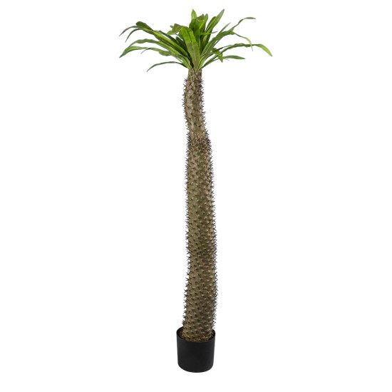 Artificial Garden PACHYPODIUM LAMEREI PALM TREE 20130 Τεχνητό Διακοσμητικό Φυτό Φοίνικας της Μαγαδασκάρης Υ175cm